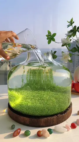 Do you want one?#foryou #foryoupage #DIY #fishtoks #fishtanks 