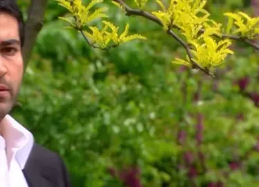 #مەمەدکۆسۆفی #عمار_كوسوفي #کۆسۆفی #دموع_الورد #❤️ #acihayat 