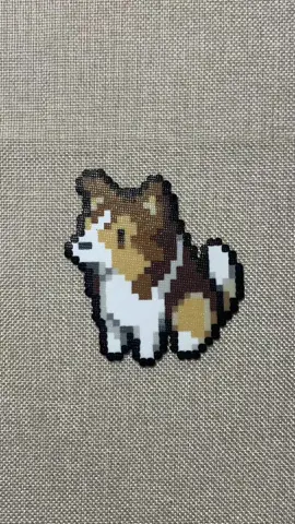 Perler Beads ASMR. Sheltie, original design from X@takemoto1224.                       . #perlerbeads #perlerbeadart #perlers #fusebeads #hamabeads #ironbeads #asmr #satisfying #satisfyingvideo #satisfyingsounds #sheltie