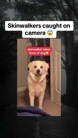 Skinwalkers caught on camera 😱 #scary #skinwalker 