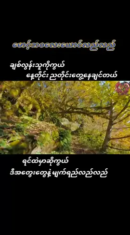 #မောင့်ဘဝလေးယောင်လည်လည် #ငြိမ်းစည်သူ #music #☘️🌿KY🌿☘️ #fypシ #foryourpage #tiktokmyanmar🇲🇲 