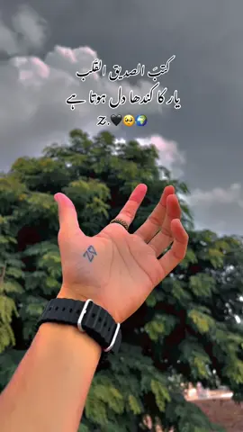 یار کا کندھا دل ہوتا ہے 🥺🖤🌍 #virel #tiktok #pleasetiktokteamviralvideo💯 #support_me #foryou #fypシ゚viral #underreview #growaccount #support_me #reels__tiktok  
