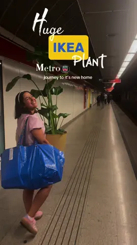 Just a med student+her oversized plant 🌱🚇 p.s.the old lady on the metro loved it👵🏼💞 #plantjourney #ikea #urbanjungle #plant #metro #budapest #remodel #fyp 