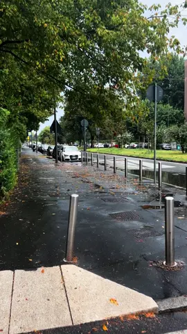 #lazaro #ميلانو🇮🇹シ #ايطاليا🇮🇹 