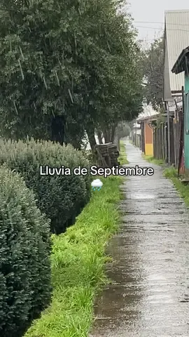 La paz que se vive en esta magica zona del #surdechile es grande. #curacautin #chile , con sus lluvias en septiembre 🌧️🌧️🌧️