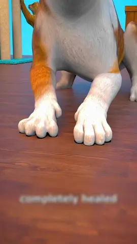 ISSO PODE ACONTECER COM SEI GATO #interessante #entretenimento #curiosidades #fy 