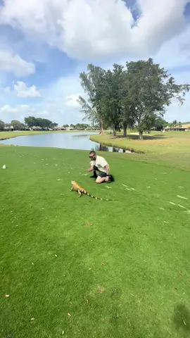 Jit definitely got right… tail whipped me CLEAN in the back of the head! 😂 #Stackz954 #FloridasFavorite #ExoticExpress 