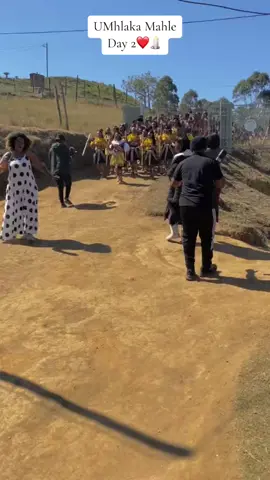 Day 2 ❤️ #fy #vira #maskandi #bhincanation #zulutiktok #trendingsong #umemulo #zulu #fyp #zulunation