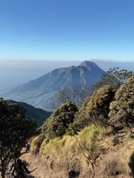 Tinggalkan pesan di komentar tanpa menyebut namanya🙌🏻 #beranda #berandatiktok #fypシ゚viral #foryou #merbabu #mountain #mountains 
