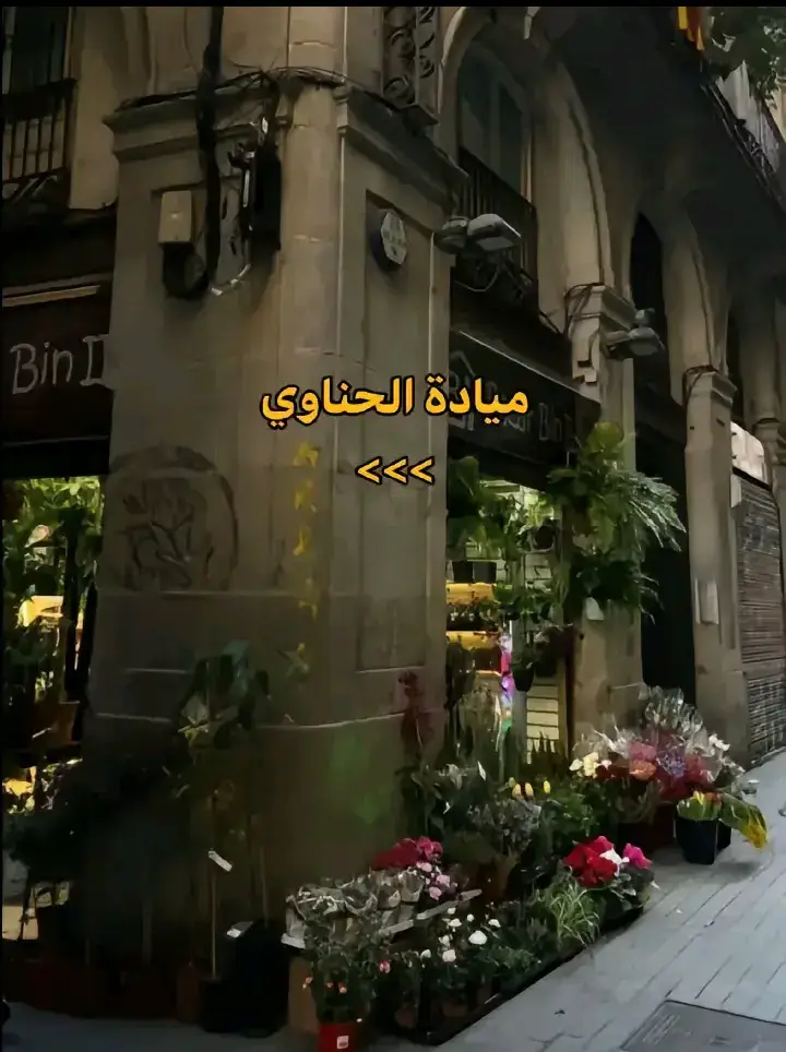 #foryoupage #viralllllll #viralvideo #explore #مياده_الحناوى #حالات_واتس #اغاني_رومانسيه 