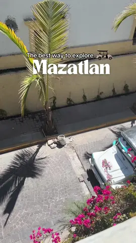 Riding a pulmonía through Mazatlán’s Malecón is a must-do! These iconic open-air taxis are the coolest way to see the city, especially at night when the Malecón lights up!  💸 Average Price: Around 200-300 MXN equivalent to $11.20- $16.80 USD (but always good to negotiate and confirm with your driver). ⏰ Best Hours to ride?: Early evening to late night. You’ll want to catch those beautiful sunset views and enjoy the nightlife vibes! P.S. Centro is so much fun to see at night!  👥 Traveling with a crew? Another popular option besides the pulmonía is the auriga. These are pickup trucks converted into open-air taxis with benches in the back, making them a great choice for groups who want to ride together and enjoy the scenery.  Aurigas can accommodate more passengers than a typical pulmonía and are often used for group tours or when traveling with a larger party. Fun fact: The name pulmonía actually comes from the Spanish word for 