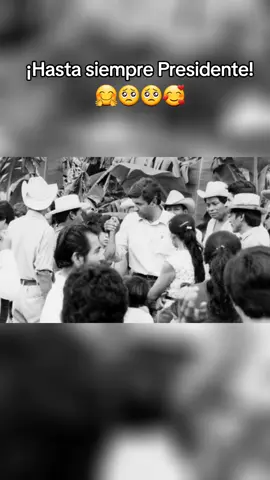 #amlo #amlove #amlopresidente #amorconamorsepaga #andresmanuellopezobrador #amlovers #amlopresidente 