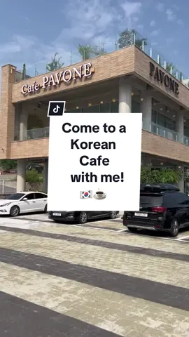 Cave Pavone in Asan is super cute! They were a little pricey and their food was okay, but I I really liked my drink and the vibe there! 🥰 #cafepavone #asancafe #thingstodonearcamphumphreys #camphumphreys #americanlivinginkorea #livinginkorea 