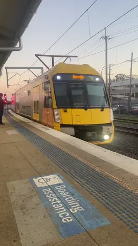 A Day in Sydney: Train Commute Adventures🚞 #SydneyTrain #fy #trending #travel #traininaustralia #sydneyaustralia 