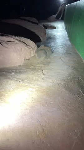 Fleushy sesh 😻 watch end for my fav clip 😂😂