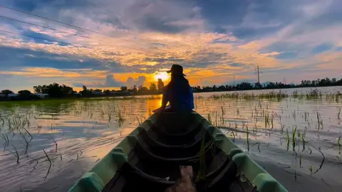 Quê em mùa nước nổi..#xuhuong #canhdepquetoi #canhdepthiennhien #songnuocmientay #canhdep #mientay #🌾🌾🌾 