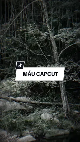 Người mang cho em tổn thương em vẫn yêu | Quên Một Người Từng Yêu Remix #CapCut #edit #mẫucapcut #xh #nhachaymoingay #lyrics #capcutmaster 