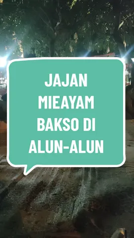 jajan mieayam bakso dialun-alun #kuliner #asmr #polosanvideo #mentahanvideo #bahanswmu #mieayam  #serunyaliburan #masjid #alunalunkaranganyar 