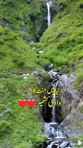 Beautiful Waterfall In Kashmir  #beauty #waterfall #kashmirvalley #Kashmir #reelsviralfb #reelsfbシ #reelsvideoシ #Discover #fyp #tiktok #foryoupage #viralvideos #funnyvideos #duet  #trending  #Love 