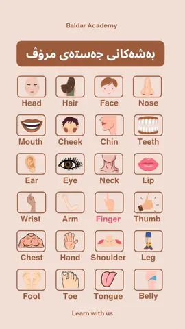 بەشەکانی جەستەی مرۆڤ بە ئینگلیزی  فێربە learn parts of human body  #learn_english #english_academy #baldar_academy #english  #باڵدارئەکادیمی #ئینگلیزی #فێربونی_زمانی_ئینگلیزی #کوردستان  