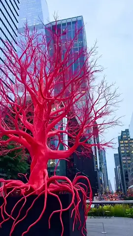 🇺🇸🇺🇸 #newyorkcity #newyork #america #foryou #foryoupage 