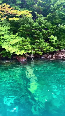 中禅寺湖は山側のほうへいくととても水が澄んでて綺麗です。日頃の疲れを忘れらる景色があります。#栃木県 #栃木 #日光市 #日光 #nikko #癒し #癒し動画 #感動 #綺麗 #絶景 #大自然 #自然 #旅行 #旅 #湖 #中禅寺湖 