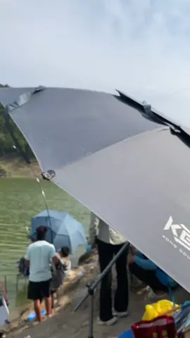 CẢNH NÀY ... #handing #trending #capcut #tiktok #phukiencaudai #xuhuongtiktok #xuhuong #phukiencauca #fishing #chanhfising #lemonfishing #hashtag #moicauca 