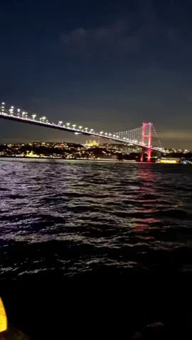 #تركيا_اسطنبول_العراق_سوريا_مصر #عفرين_راجو_بلبل_شيه_جنديرس #هولندا_امستردام_اوترخت_لاهاي_ورتردام #المانيا 