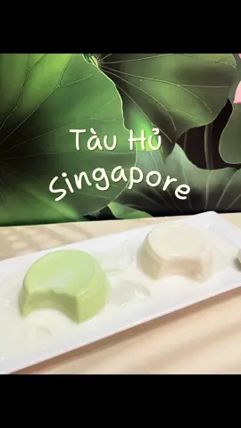 Lâu rồi mới làm lại món tàu hủ này ,bữa giờ bận rộn với mấy bé trung thu quá 😅 , mà các bạn làm Tàu Hủ thì thường sử dụng đậu tự xay hay là mua sữa đậu nành ở ngoài mang về nấu ạ #tauhusingapore #singapore #viral #lyrics #xyzbca #capcut #CapCut #fyp #LearnOnTikTok #xuhuong #kinhdoanh #chiasekinhnghiem #2024 #tiktok #xh #khoinghiepthanhcong #trending #viralvideo #suadaunanh 