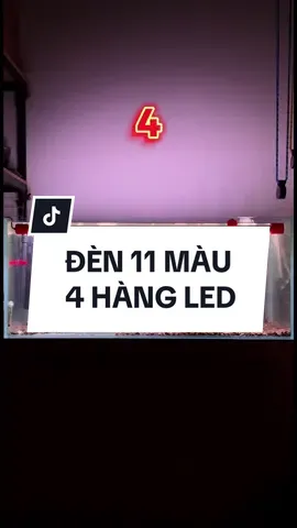 Bản nâng cấp đáng giá của đèn M10 11 chế độ màu! 4 hàng LED sáng choắc ae nhé! #den11chedomau #denledbeca #becarong #aquaplusvn 