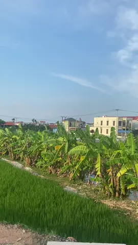 Về quê có gì vui #quêtôi 
