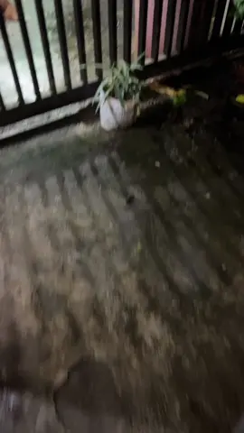 ကပ်ပရှင်မပါဘူး @မိုင်ကို 