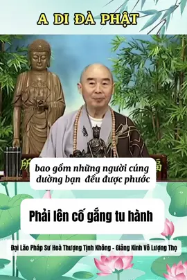 Đại Lão Pháp Sư Hoà Thượng Tịnh Không - Giảng Kinh Vô Lượng Thọ trích đoạn ( tập 124 ) #phapsutinhkhong #hoathuongtinhkhong #niemphatvangsanh #adidaphat🙏🙏🙏 #adidaphat #xuhuong #xuhuongtiktok 