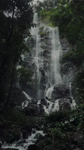 ธรรมชาติที่สวยงามรอให้ทุกคน ออกไปพบเจออยู่นะ ⛰️🌿🏕️ #ทริปนี้ที่รอคอย #เที่ยวกะโฟล์ค #ห้วยขี้เท่อแม่ระมาด⛰️🍃 #คนเดียวก็เสียวได้ #เที่ยวตาก #เดินป่าหน้าฝน 