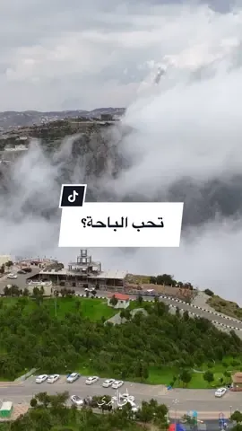 #تصويري📸 #الباحة #الباحه #صيف_الباحة #غابة_رغدان_الباحه #رغدان #ضباب #درون #محمد_عبده_فنان_العرب #تصويري_احترافي_الاجواء👌🏻🕊😴🎬 