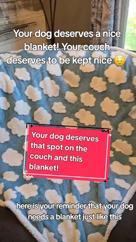Your dog deserves their spot on the couch and this blanket! #dog #dogblanket  #dogtok  #fordogs  #foryou 