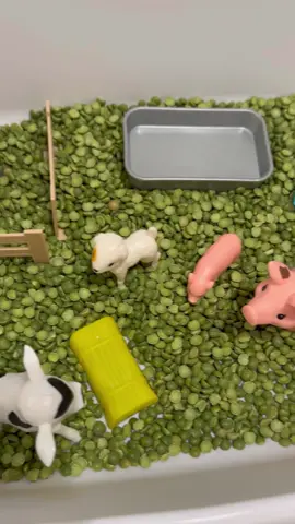 How cute is this farm themed sensory bin I made for my toddler!  Such a great fall themed sensory bin.  #fall #sensoryactivities #sensorybin #farm #farmlife #pig #cow #sheep 