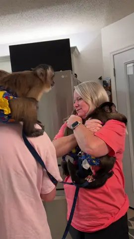 They’re so happy mom & dad are back home! #oliverlincoln #happymonkeys #reunion #sweet #willowkate #everetthenry #capuchin #monkey #monkeysoftiktok 