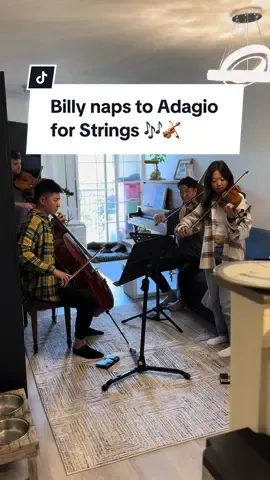 Another clip of Billy enjoying a private performance from @LOVUR sightreading Adagio for Strings by Barber.  🎶🎻 Thank you for spoiling Billy with such beautiful playing!!  #classicalmusic #billythetalkingpuppy #lovurquartet #stringquartet #musicaldog #fluentpet #rescuedog 
