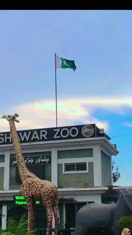 Peshawar zoo..    #foryou #peshawar#raani__44 #travelling__44 #peshawar 
