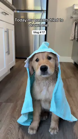 WORST DAY EVER!!! UGHHH 🛁🐾 #puppy #funnypuppy #goldenretriever #cutepuppy #puppyvlog 