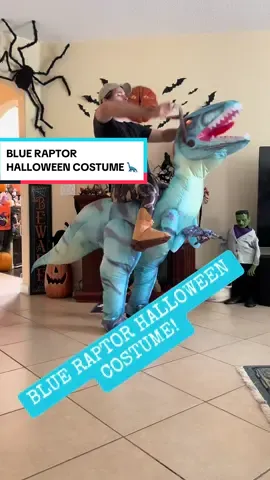 This is the blue raptor inflatable Halloween costume and its eyes light up red. It comes in two different sizes 63 inch and 72 inch and it also comes with a hat.  if it’s me perfect and I know that these will sell out before Halloween. ##fyp##foryou##halloween2024##spookyseason##spooky##halloweeninflatables##raptorcostume