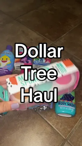 @Dollar Tree finds #dollartree #dollartreefinds #haul #haultok #shopping 