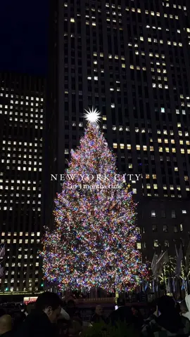 Ticked off the bucket list to see NYC at Christmas!🎄⬇️ Towards the end of November, NYC transforms into the famous Christmas wonderland we all know!🤩 Here are the must see’s you have to save for your trip, you will see these around the city between thanksgiving and new year: 📌 The iconic Rockefeller Centre Christmas Tree & Ice Rink 🎄  📌 The big red Baubles near Radio City ❤️ 📌 Radio City, home alone vibes ✨ 📌 Stunning light show on the front of Saks 5th Ave building 🤩 📌 Macy’s decorations ❤️ 📌 It felt like a Christmas tree farm in the middle of the city in front of 1221 Avenue of the Americas🎄 📌 Paddy Macguires ale house knows how to decorate for Christmas 🤩 📌 … so does bar/restaurant Oscar Wilde✨ #newyork #nyc #newyorkcity #christmas #christmastiktok #traveltiktok #travelbucketlist 