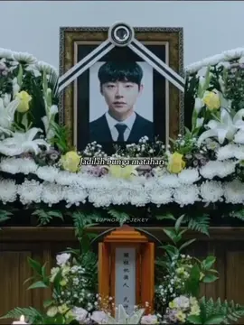 Begins Youth x Bunga Matahari 🌻 #seojihoon #nohjonghyun #ahnjiho #seoyoungjoo #kimyoonwoo #jungwoojin #jeonjinseo #beginsyouth #bts_official_bighit #armybts #fypシ゚viral 