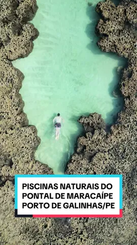 PISCINAS NATURAIS DO PONTAL DE MARACAÍPE, EM PORTO DE GALINHAS!  Para chegar até as piscinas você pode ir caminhando (somente com a maré bem baixa e precisa ficar atento ao horário em que a maré volta a subir) ou então de jangada!  O valor da jangada é de R$ 50,00 por pessoa, pagamento pix ou dinheiro. (Agosto/2024)  *O valor inclui snorkel* Nosso cupom de desconto com a @pontualreceptivo# é o “FERIADOSADOIS” e vocês podem usar em TODOS os passeios! 😉 ‼️ É essencial fazer esse passeio no horário em que a maré estiver baixa ‼️ Conta aqui pra nós se você já tinha ouvido falar das piscinas naturais do Pontal de Maracaípe! 👇☺️ #portodegalinhas #piscinasnaturais #dicasdeviagem #melhoresdestinos #destinosbrasileiros 