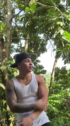 Hagan sus videos con este tema ❤️😍😍
