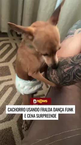 🤣👏 Vai, pingo! Cachorro carioca é flagrado dançando funk de fralda no braço de seu dono. Créditos: @beeeaad (ig) | @beeeaad (tk) |  | @myhoodbr #cachorro #pet #entretenimento #funk #meme #bnews 