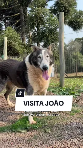 Sente a paz desse lugar 🤡🐑