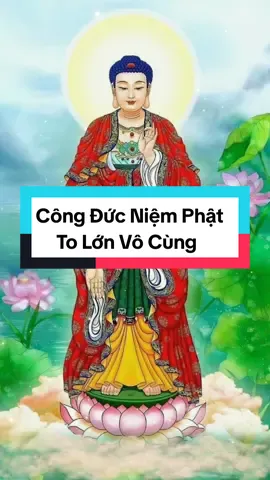 Pháp Môn Tịnh Độ phần 87. Công Đức Niệm Phật to lớn vô cùng!#phatphapnhiemmau 